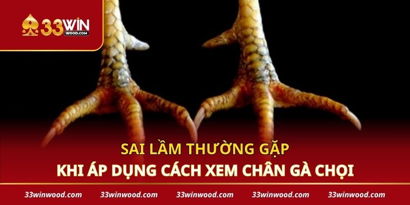Sai lầm thường gặp khi áp dụng cách xem chân gà chọi